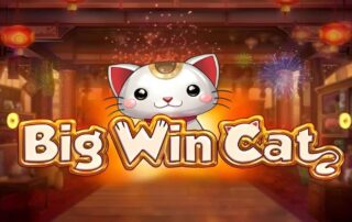 Big Win Cat Slot